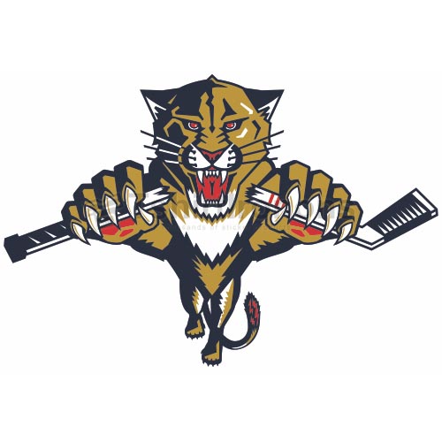 Florida Panthers T-shirts Iron On Transfers N161 - Click Image to Close